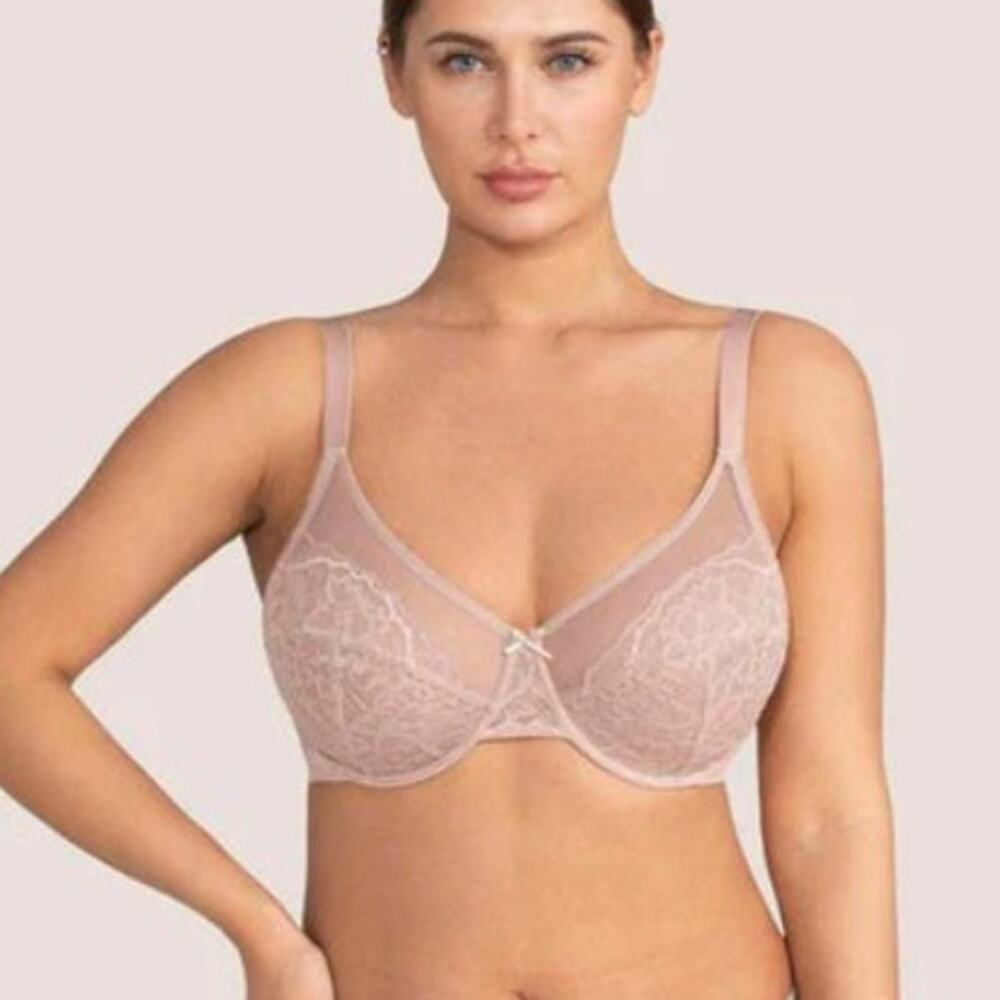 HSIA Enchante Dusty Pink Lace Underwire Bra Size 36DD NWT